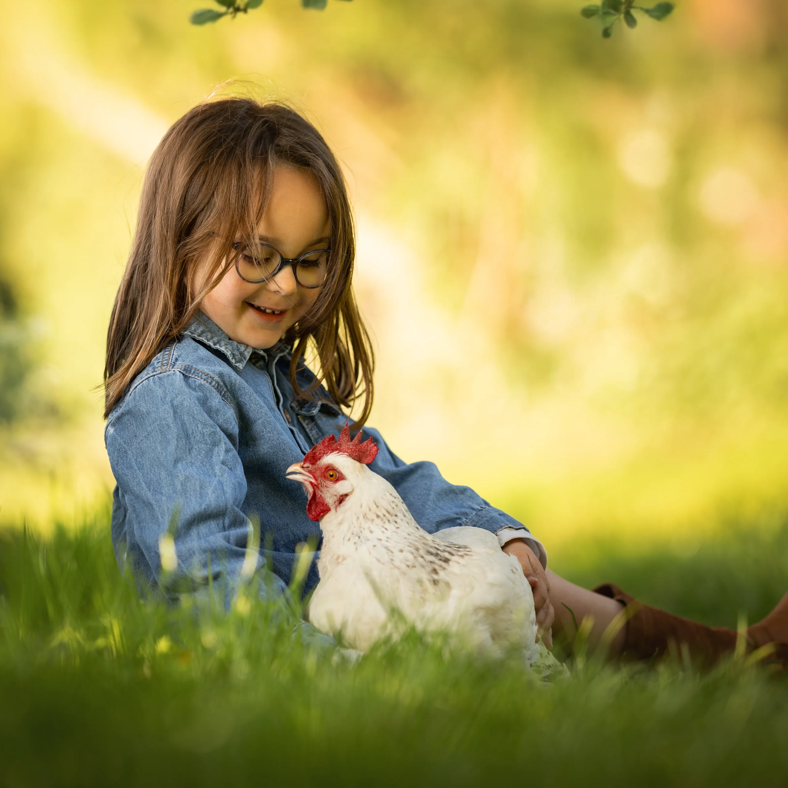 Photo artistique enfant fille avec poule ferme nature lumière naturelle photographe Caen