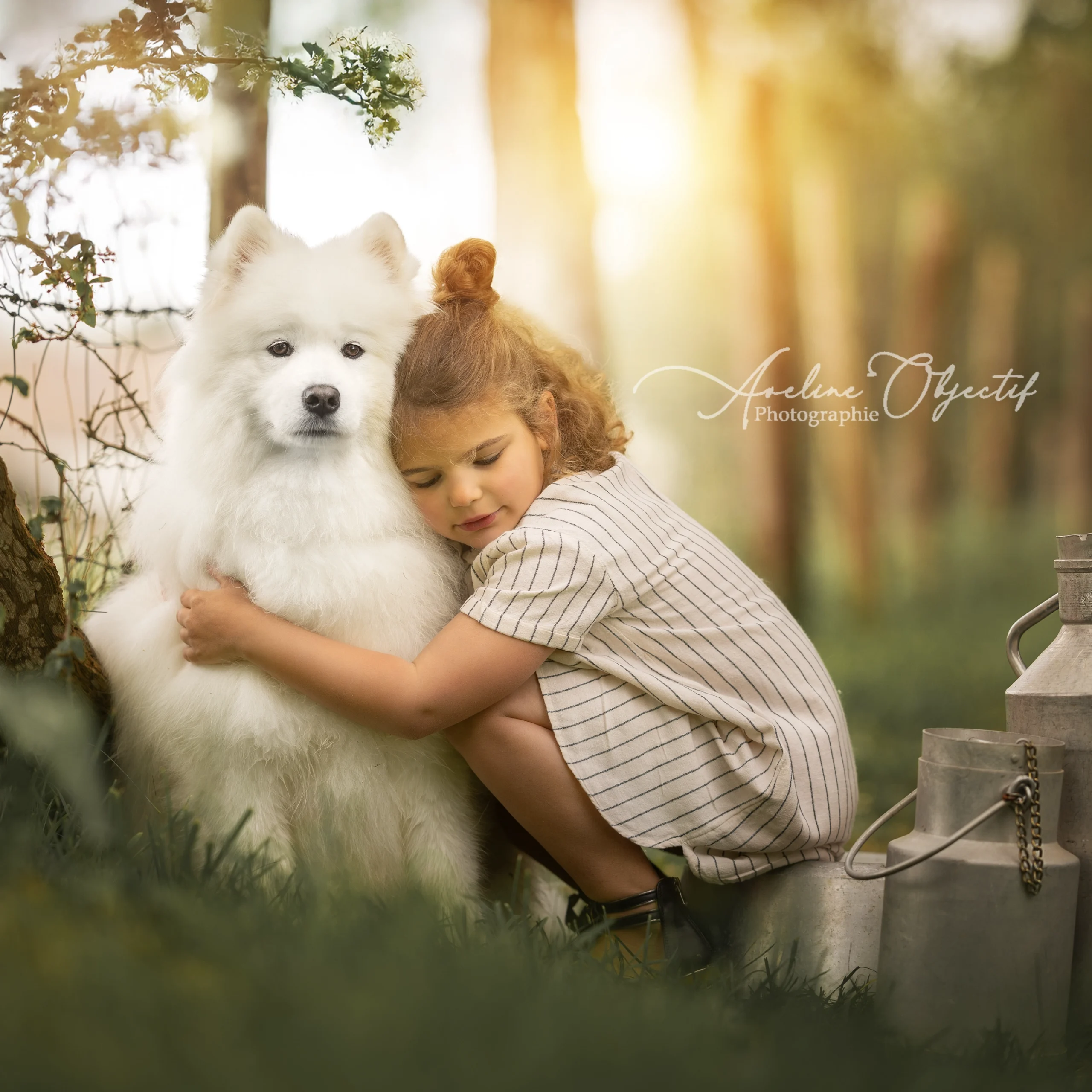 Séance photo enfant avec chien Samoyède blanc câlin extérieur Aveline Objectif